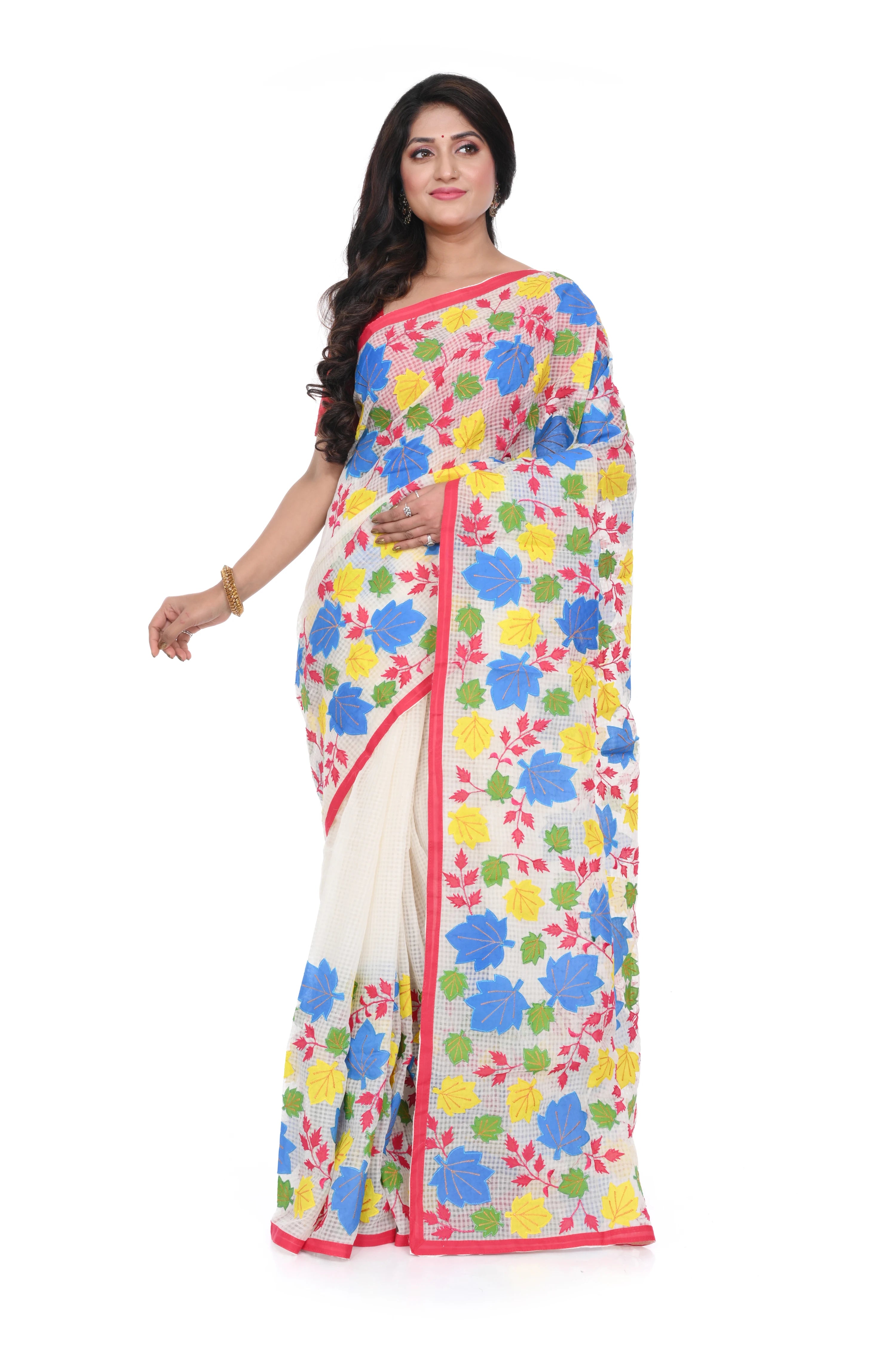 Multi Colour Appliqué on White Reshom Kota Saree