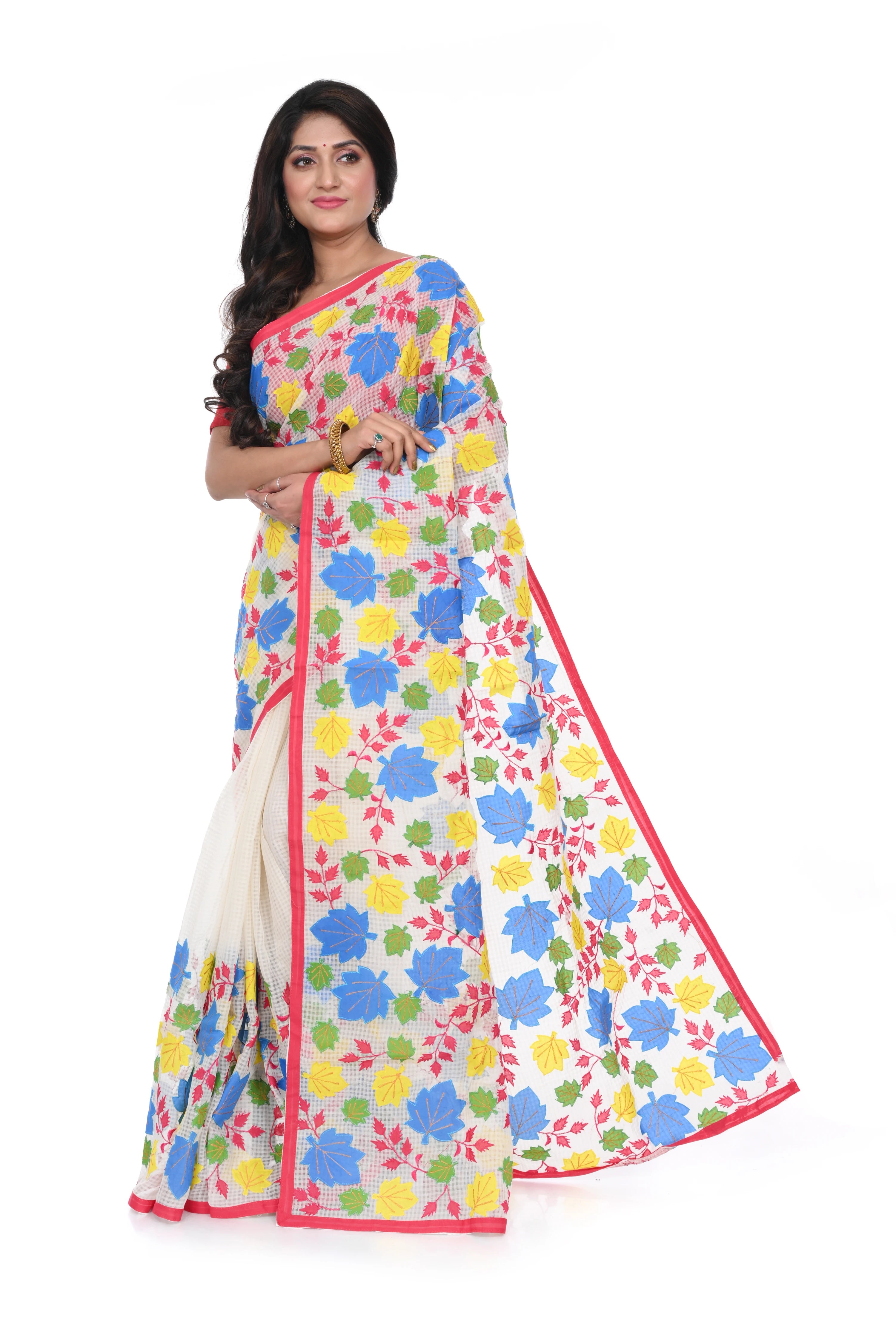 Multi Colour Appliqué on White Reshom Kota Saree